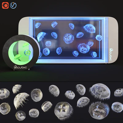 Aquarium for jellyfish Pulse 160/20 — Ver 1