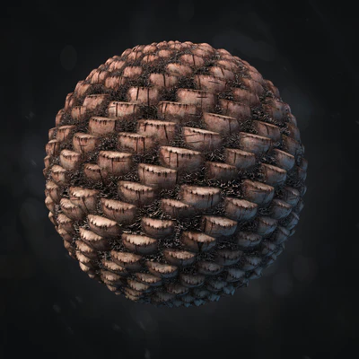 palm bark 006 — Скачать