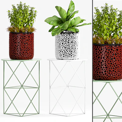 PLANT-44 — Ver 1