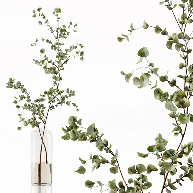 Collection Indoor Plants 049 — Descargar
