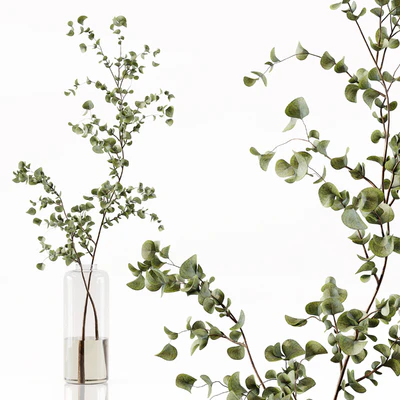 Collection Indoor Plants 049 — Ver 7