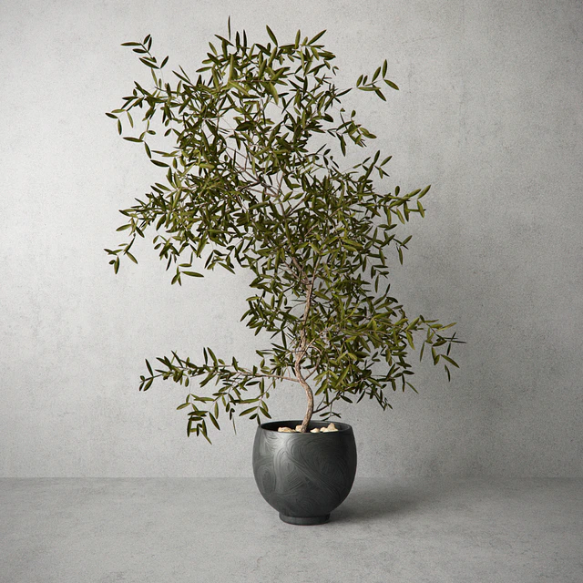 Houseplant — Скачать