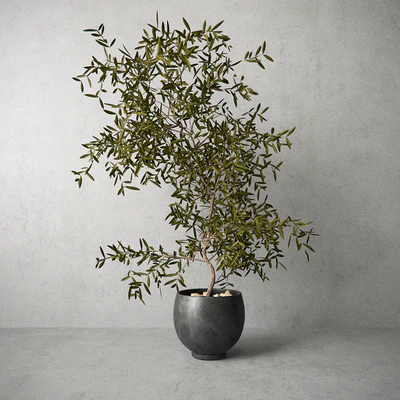 Houseplant — Скачать