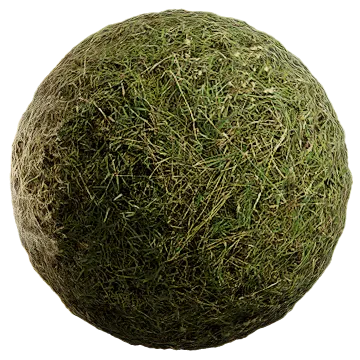 uncut grass 028 — Descargar