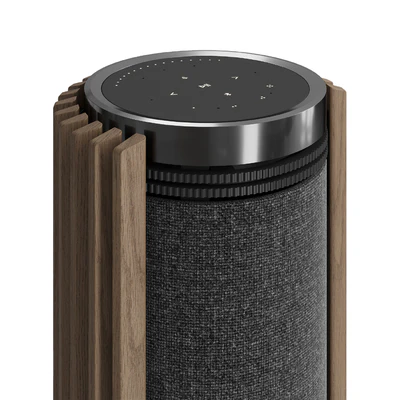 Bang & Olufsen Beolab 28 — Ver 5