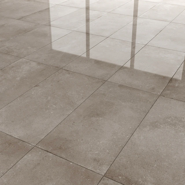 Lens Taupe — Descargar