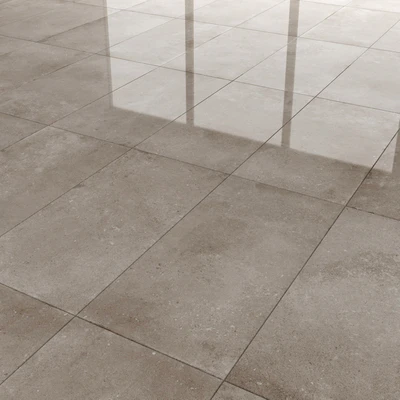 Lens Taupe — Ver 3