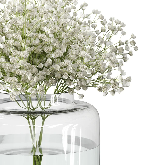 Bouquet Set 08 Gypsophila with IKEA Konstfull vase — Скачать