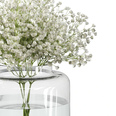 Bouquet Set 08 Gypsophila with IKEA Konstfull vase — Вид 4