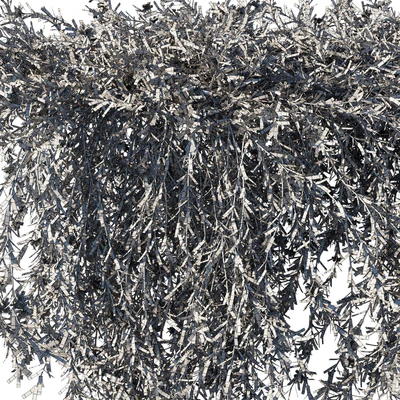 Rosemary creeping — Вид 3
