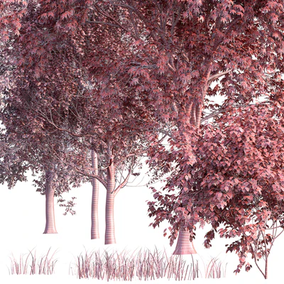 Mixed summer forest — Ver 6