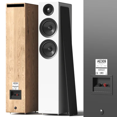 Acoustic Energy AE 309 — Ver 4