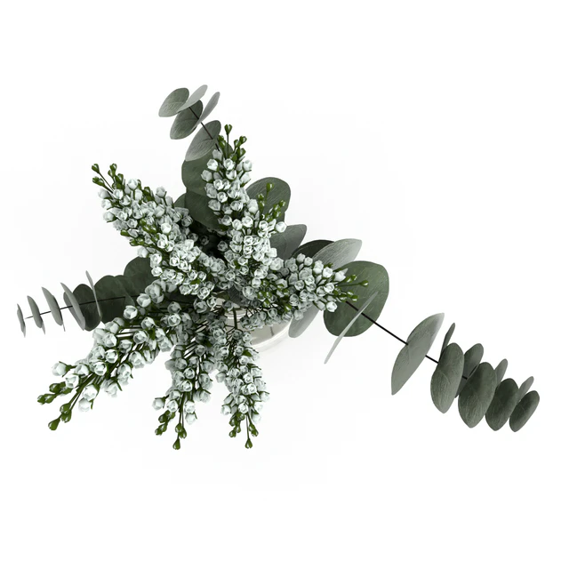 Bouquet — Descargar
