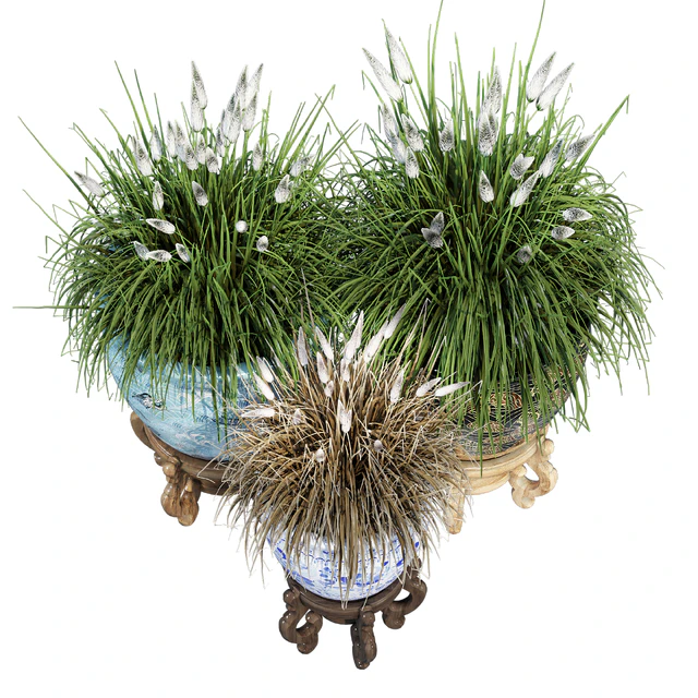 Porcelain grass — Descargar