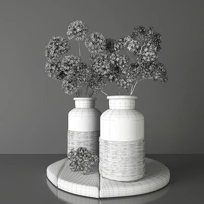 Bouquets 2 - decorative onions and gypsophila — Ver 3