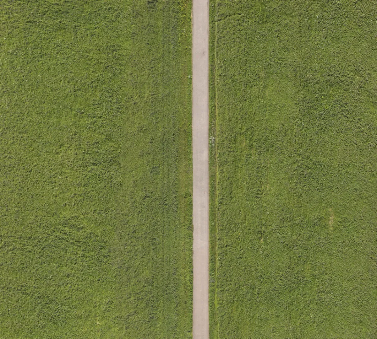 field summer 018 — Скачать