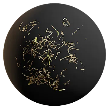 buffalo grass debris 001 — Descargar