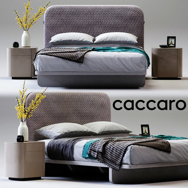 BAG Caccaro — Descargar