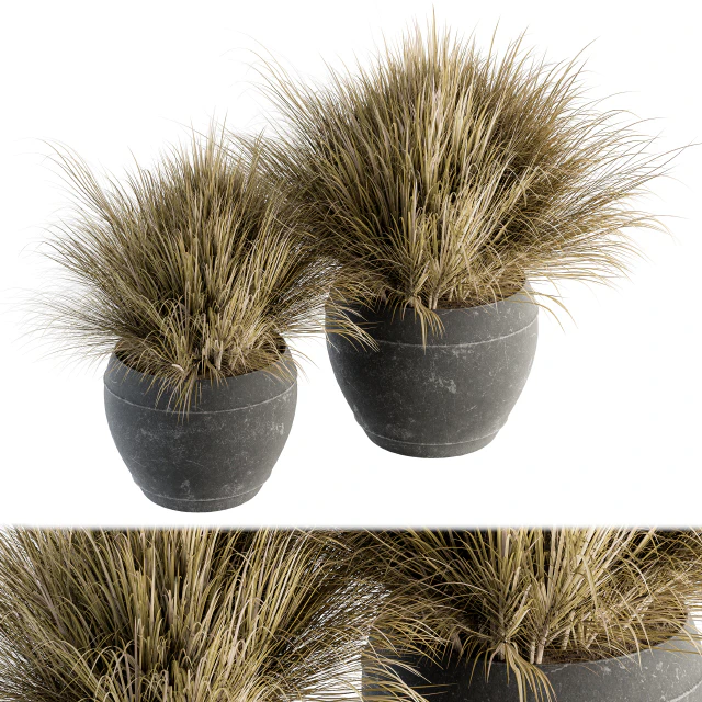 Outdoor Plant Set 204 - Dried Grass in Pot — Descargar