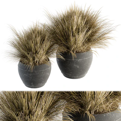 Outdoor Plant Set 204 - Dried Grass in Pot — Ver 1