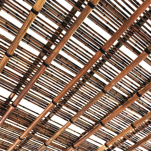 Branch bamboo long low n3 / Long bamboo branches No. 3 — Descargar