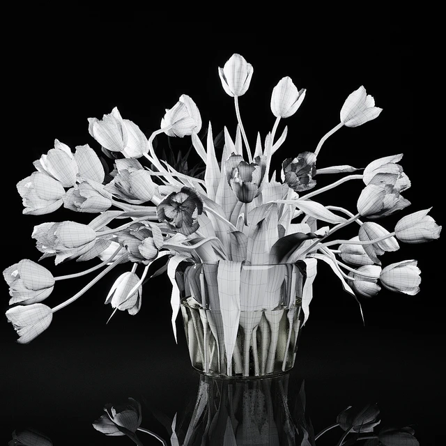 Tulips — Descargar