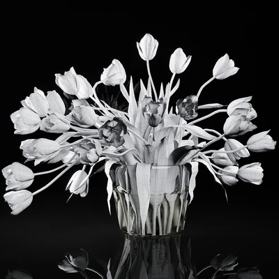 Tulips — Ver 5