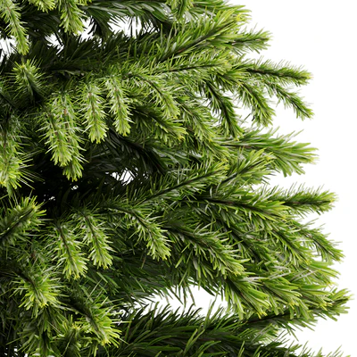 indoor plant Set 18 — Вид 6