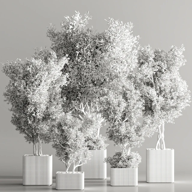 Indoor Plant Set 82 — Descargar