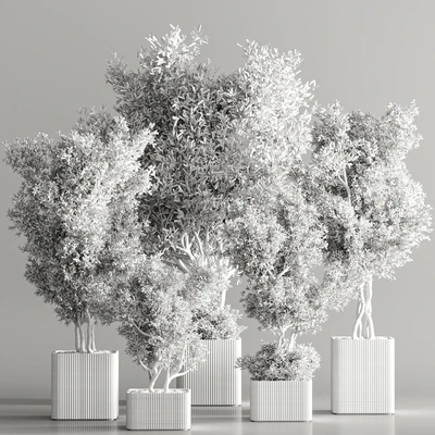 Indoor Plant Set 82 — Ver 7