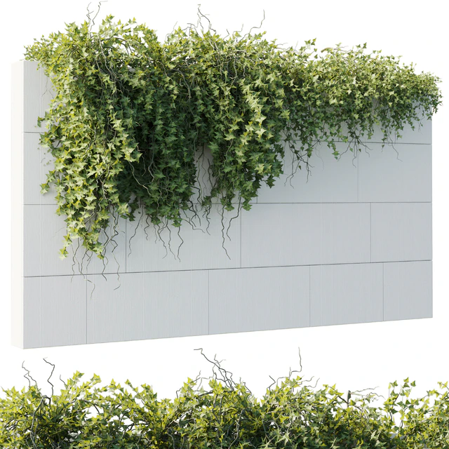 ivy hanging from the wall - outdoor plants set 173 — Descargar