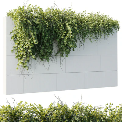 ivy hanging from the wall - outdoor plants set 173 — Ver 4