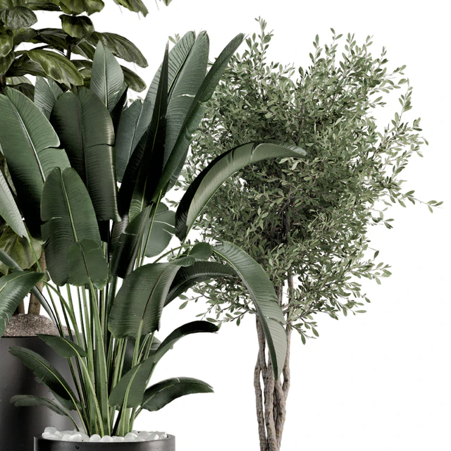 Indoor Plants in Ferm Living Bau Pot Large - Set 1277 — Descargar