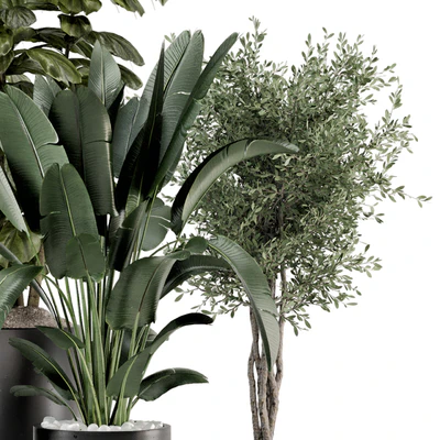 Indoor Plants in Ferm Living Bau Pot Large - Set 1277 — Ver 6
