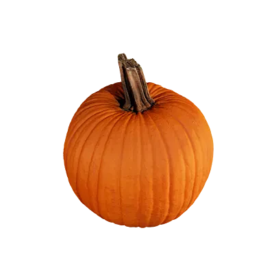 pumpkin 004 — Descargar