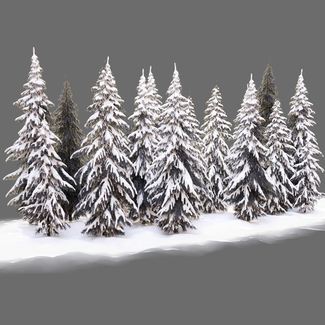 Winter norway spruce — Скачать