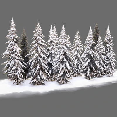 Winter norway spruce — Вид 6