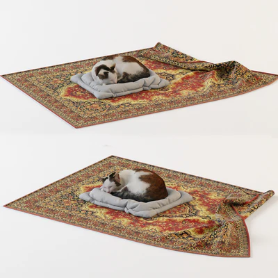 Cat — Ver 1