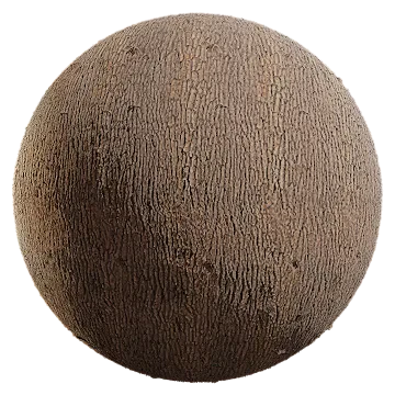 willow branch 001 — Скачать