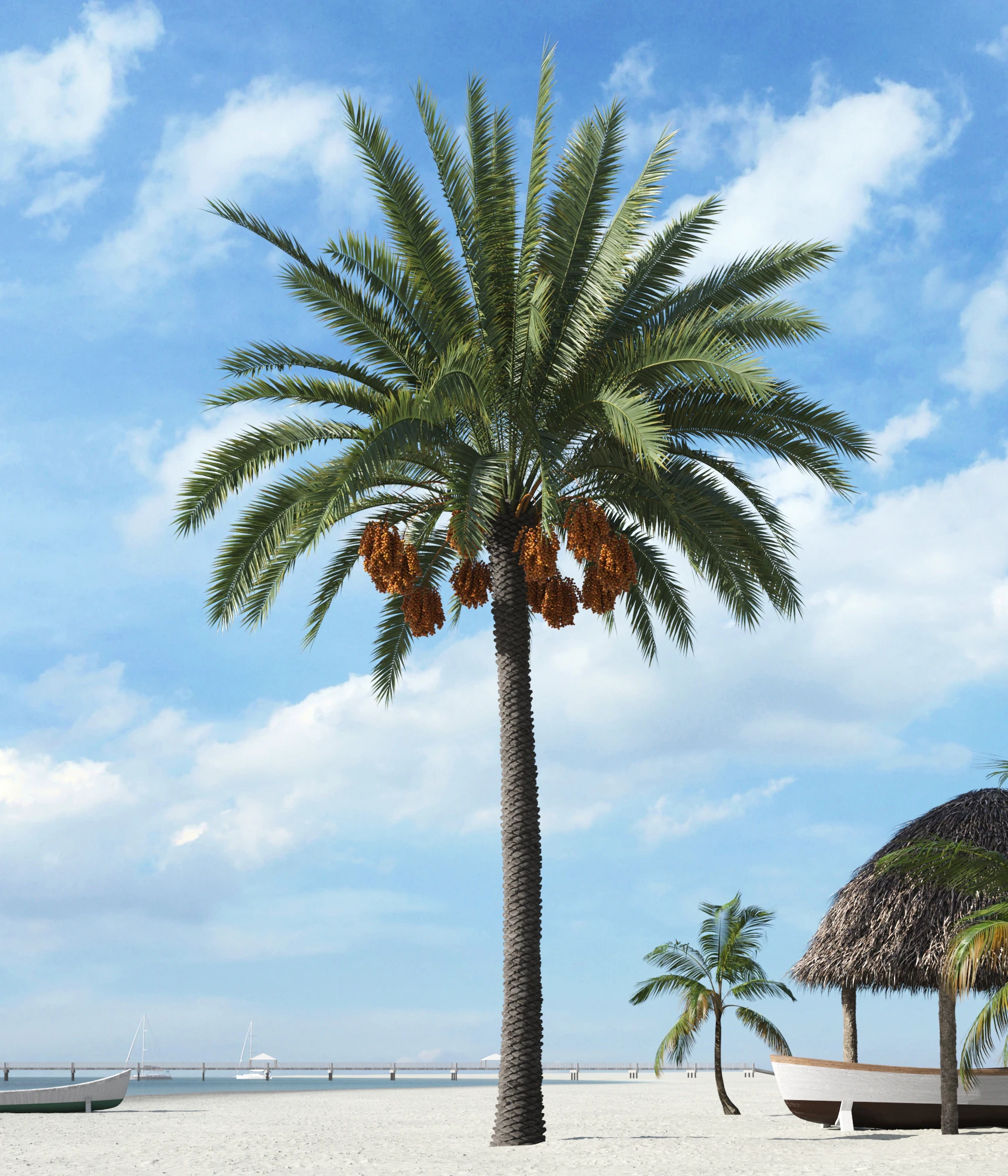 palm trees 019 — Скачать