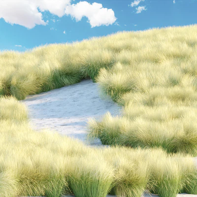 Maram Grass collection vol 155 — Ver 6