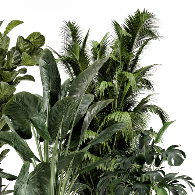 Indoor Plants in Ferm Living Bau Pot Large - Set 1188 — Descargar