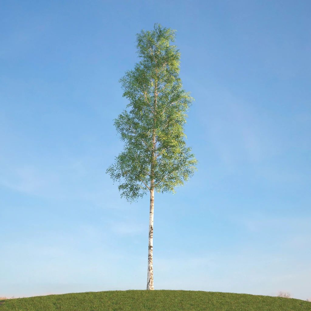 010 — Скачать