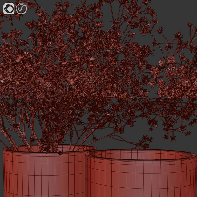 Dry flowers 9 — Descargar