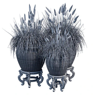 Porcelain grass — Ver 7