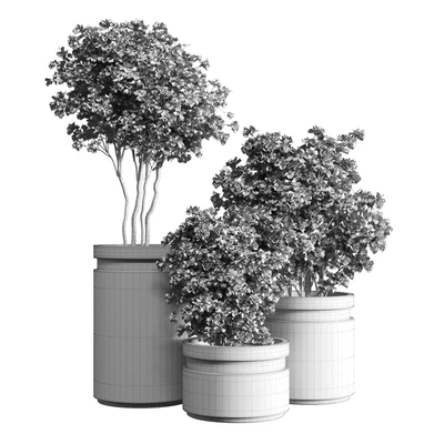 indoor plant 05 — Ver 4