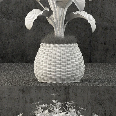 Plants collection 55 — Ver 3