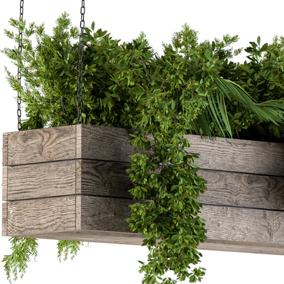 Hanging Plants in Wooden Box — Ver 5