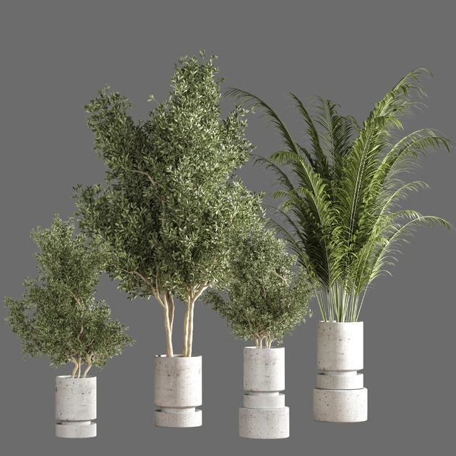 indoor plant set 14 — Скачать
