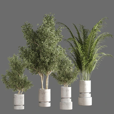 indoor plant set 14 — Вид 1